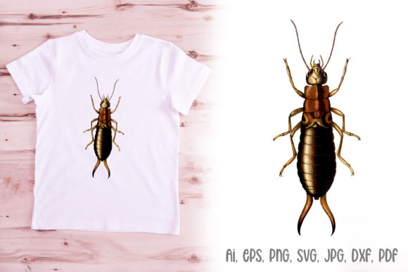 Earwig Insect Illustration Logo Design: A Detailed Hand-Drawn Asset